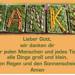 Liturgie im Jahreskreis 2017