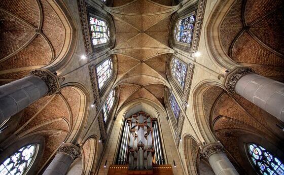 Domorgelsommer 2026 bringt Rudigierorgel zum Klingen