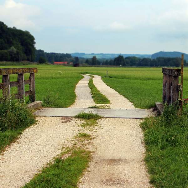 Pfarrgemeinderat und Pfarrgemeinderatsleitung / © Antranias/pixabay.com/Pixabay License Pfarrgemeinderat und Pfarrgemeinderatsleitung