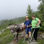 Mitwandernde