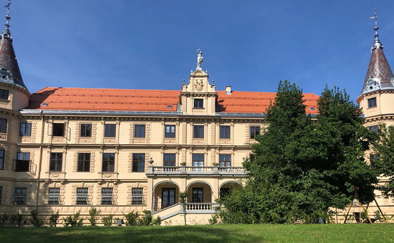 Wels: Europas Ortskirchen beraten über Weg der Synodalität