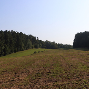 Wandertag
