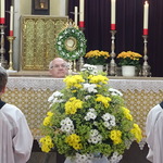 Liturgie im Jahreskreis 2017