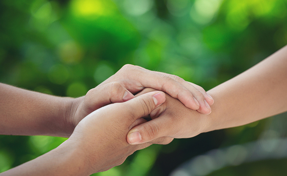 Couple holding hands in green meadow.