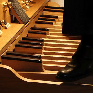 Segnung der Orgel