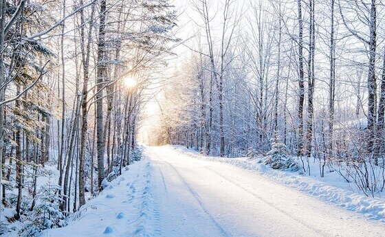Den Weg ins neue Jahr mit Zuversicht beschreiten