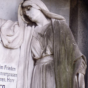 Engel    