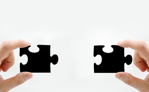 Gemeinschaft 
